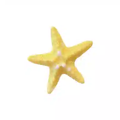 蒙妮 甜美仿真海星小清新鸭嘴夹 亚克力/合金 发夹 女款