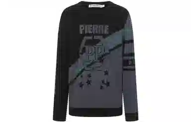 PP PIERRE PIERUCCI LOGO