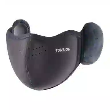 tonlion