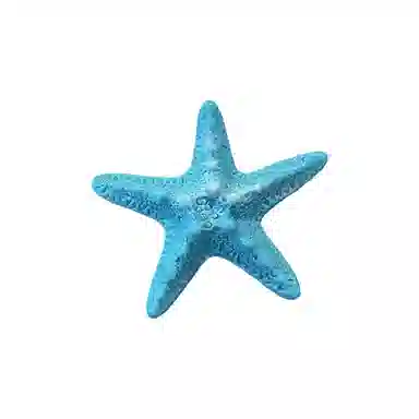 蒙妮 甜美仿真海星小清新鸭嘴夹 亚克力/合金 发夹 女款