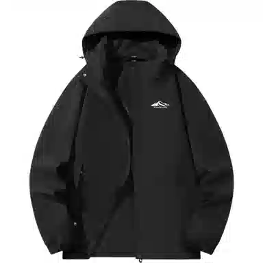 SNOW FLYING 1.0 LOGO