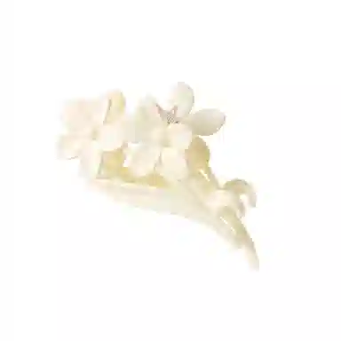 Duoduo