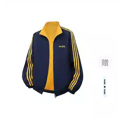 pallsupol