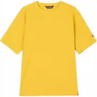 DESCENTE ALLTERRAIN 81 T