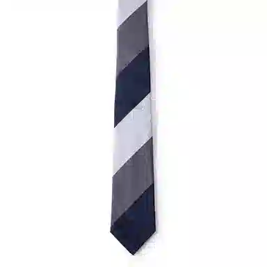 红豆 手打正装商务通勤休闲配饰 男士 涤纶丝 领带 男款