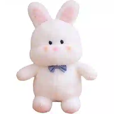 25cm35cm