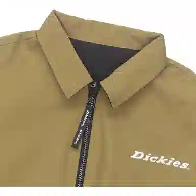 Dickies Logo
