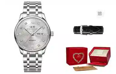 IW CARNIVAL HWGUOJI 799G