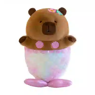 35cm50cm