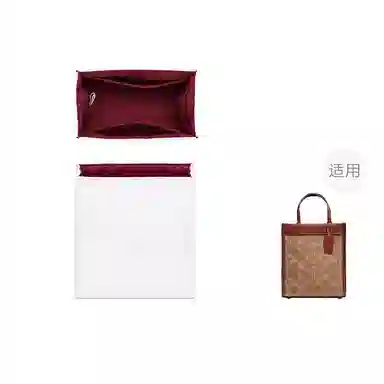 FANJI COACHcashin tote 14