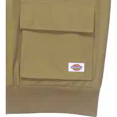 Dickies Logo