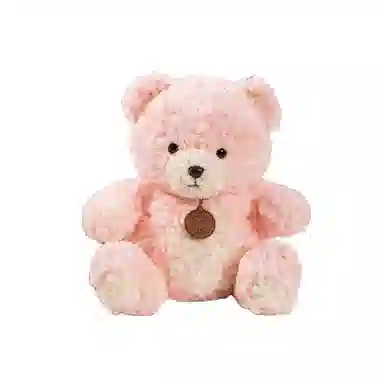 bear 22cm30cm45cm