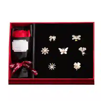 缔晶 森系甜美时尚套装 日常通勤配饰礼盒 合金 胸针 女款