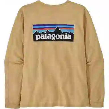 patagonia P-6 Logo Responsibili-Tee T