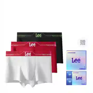 Lee 1.0 A10A 3