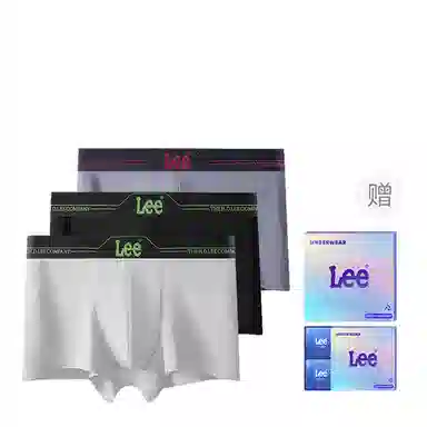 Lee 1.0 A10A 3