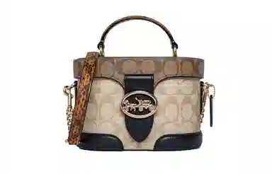 COACH Georgie 20 Classic Canvas Crossbody Bag