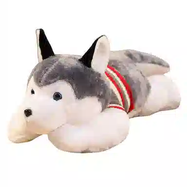 50cm70cm100cm120cm150cm180cm200cm