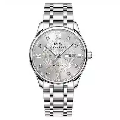 IW CARNIVAL HWGUOJI 799G