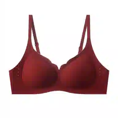 TLXT V