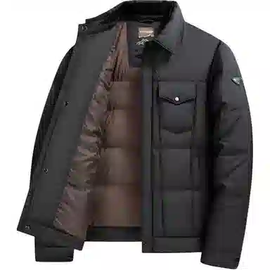 鸭鸭 翻领鸭绒男士冬季保暖韩版休闲户外通勤商务外套防风羽绒服 男款