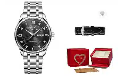 IW CARNIVAL HWGUOJI 799G