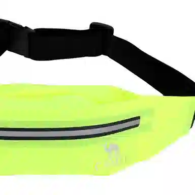 CAMEL Waist Bag