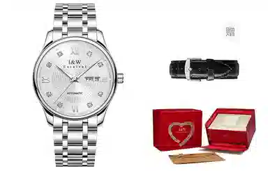 IW CARNIVAL HWGUOJI 799G