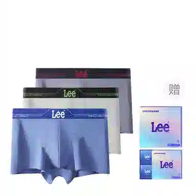 Lee 1.0 A10A 3
