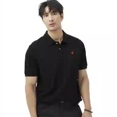 LEZORA Supima Polo
