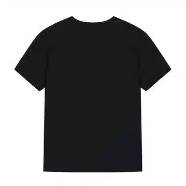 Palladium COLLAB T