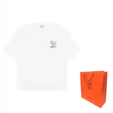 HERMES T