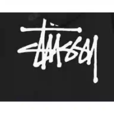 Stussy SS22 Basic Stussy Zip Hood Logo