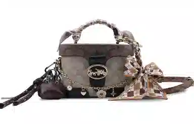 COACH Georgie 20 Classic Canvas Crossbody Bag