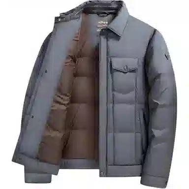 鸭鸭 翻领鸭绒男士冬季保暖韩版休闲户外通勤商务外套防风羽绒服 男款