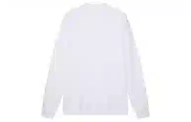 Champion FW25 BASIC T