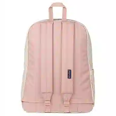 JanSport 20L