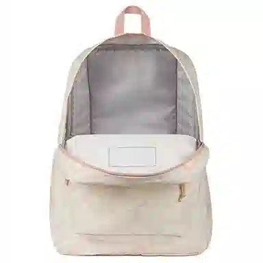 JanSport 20L
