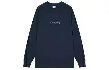 Champion FW25 BASIC