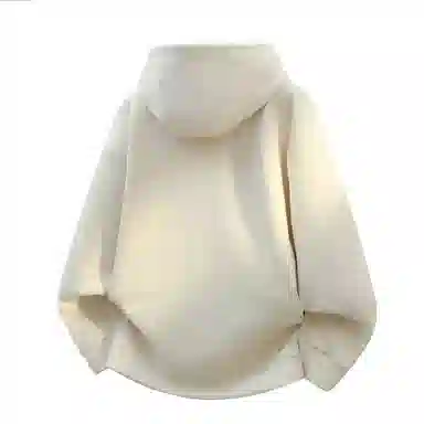 ZNXE 500