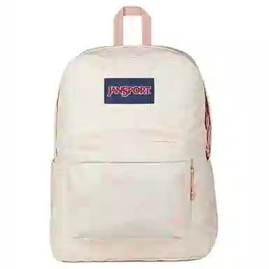 JanSport 20L