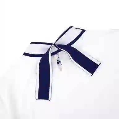 RYDER CUP EST.1927 T