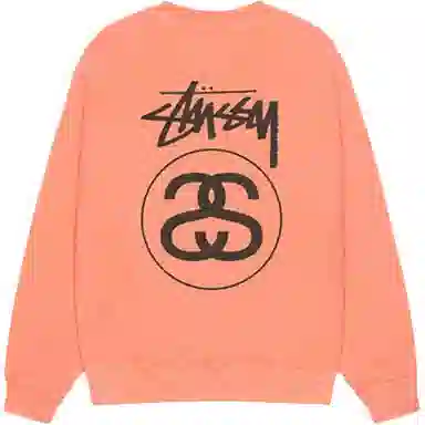 Stussy sLOGO