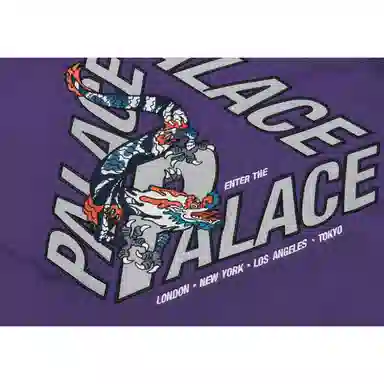 PALACE FW22 Dragon P-3 Hood Purple Logo