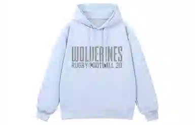 NCAA Michigan Hoodie