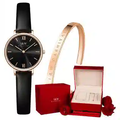 IW CARNIVAL HWGUOJI 3009LP