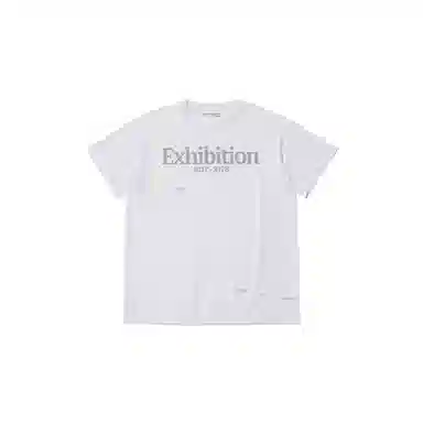 THE MUSEUM VISITOR T