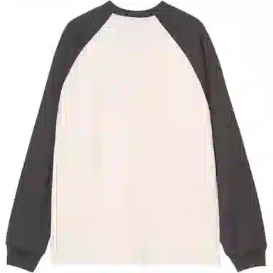 Carhartt WIP FW25 LS Alston T-Shirt T