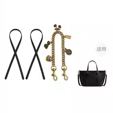 Coach Taxi21 Totediy