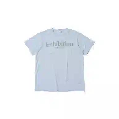 THE MUSEUM VISITOR T